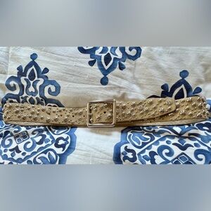 Express Genuine Leather Crystal Stud Belt